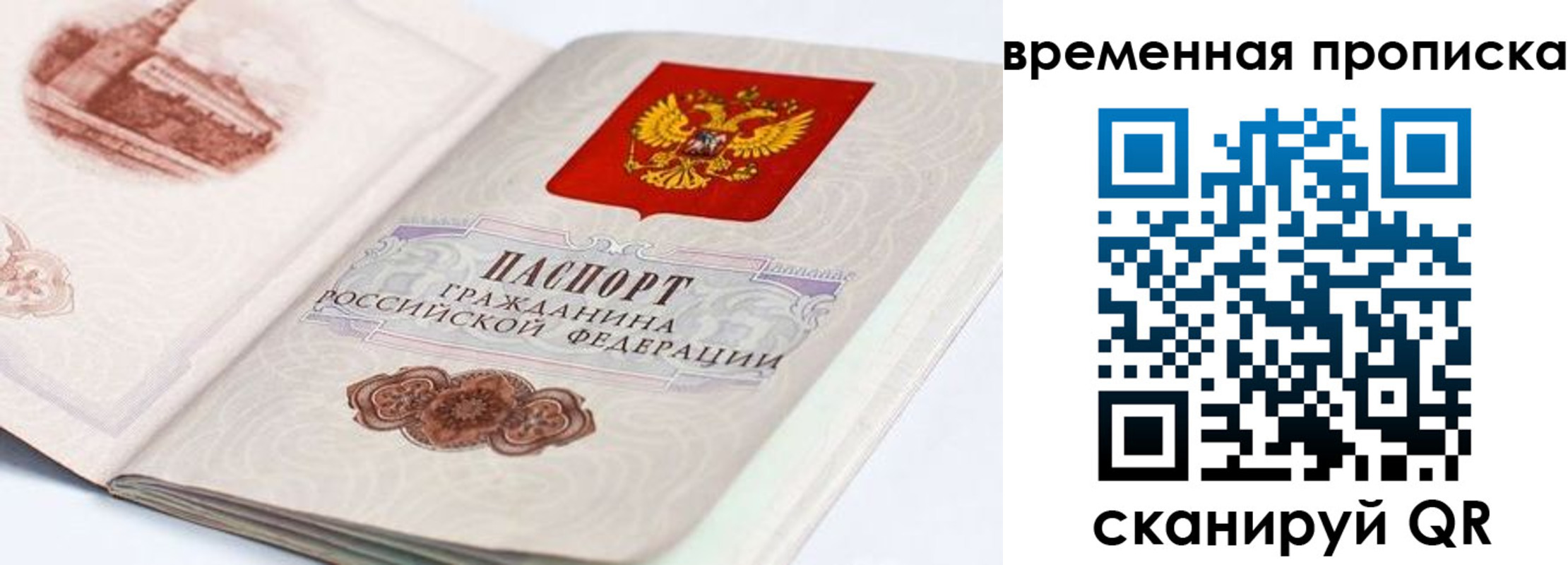 прописка 2025 в Арсеньеве